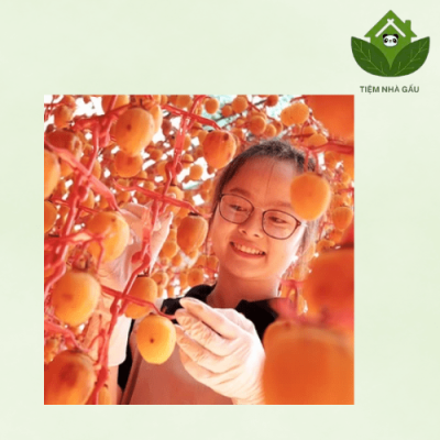 Bầu ăn hồng sấy được không?