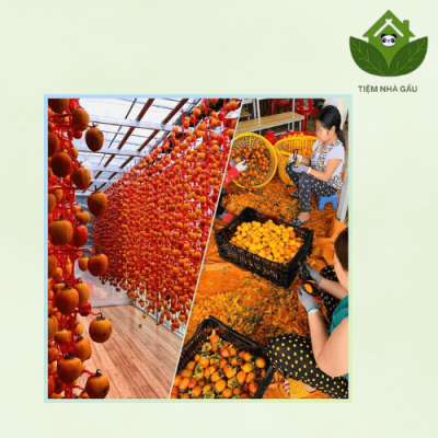 Ăn Hồng Sấy Dẻo Có Tốt Không?