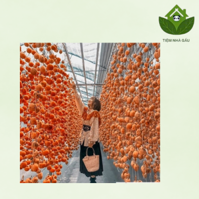 hoa hồng sấy khô trang trí