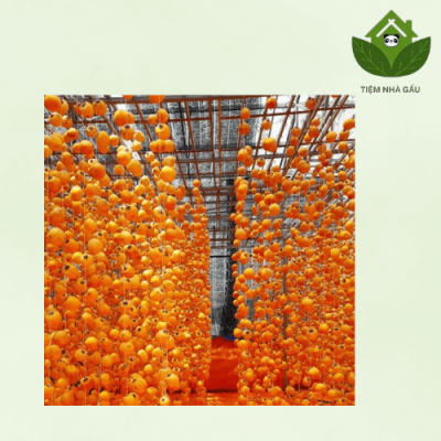 hoa hồng sấy khô trang trí