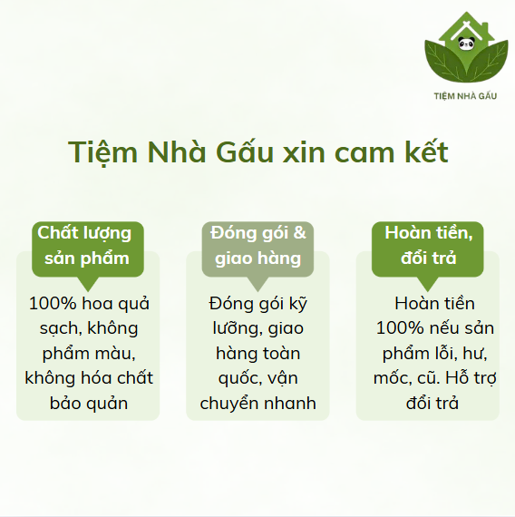 Screenshot 2025-07-09 125703